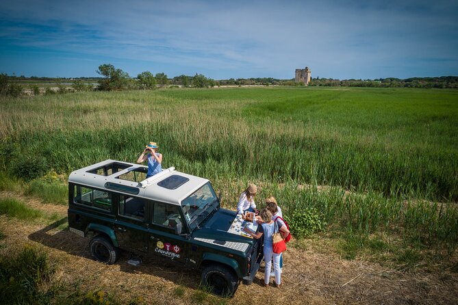3.5 Hour Camargue 4x4 Safari from Le Grau-du Roi - From salt flats and marshes to rice fields