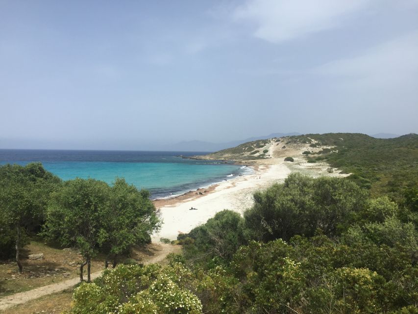 4x4 Agriates Desert and Beach Excursion from Calvi - Reading the maquis, birds, and rare plants