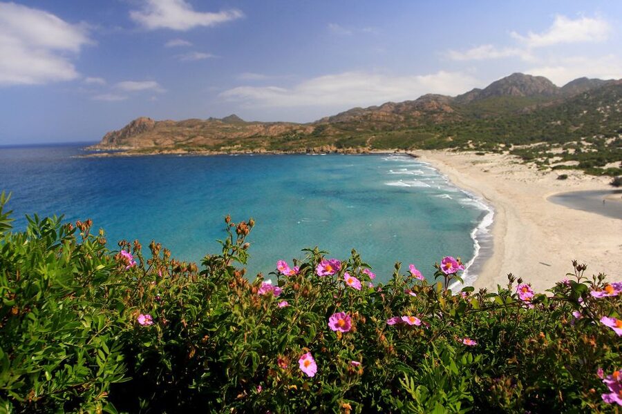 4x4 Agriates Desert and Beach Excursion from Calvi - Four hours at Ghignu’s clear water