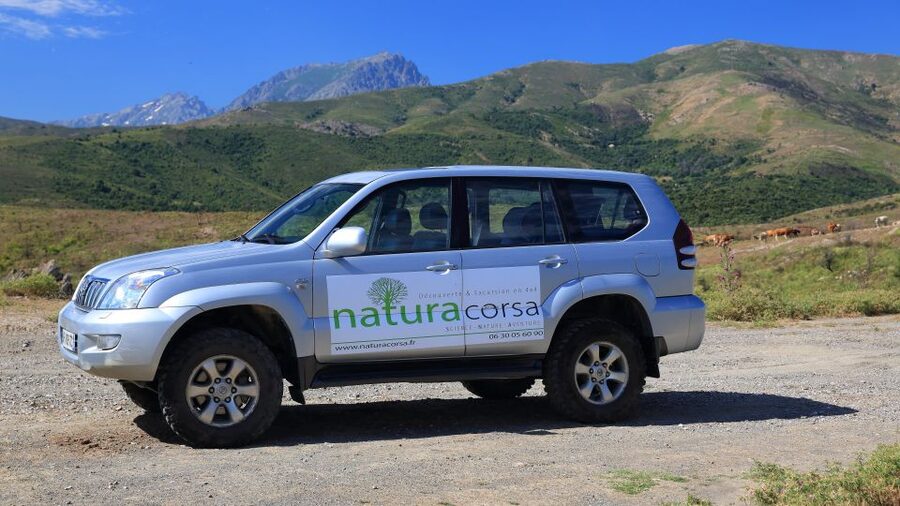 4x4 Agriates Desert and Beach Excursion from Calvi - Malfacu Beach and the coastal setting