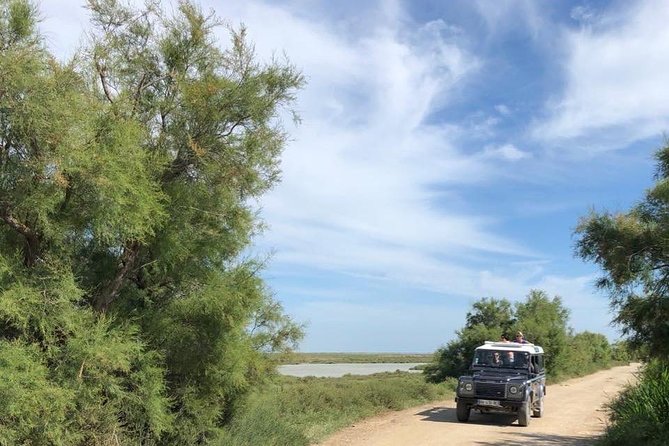 4x4 Camargue Safari 4h - Departure from Arles - On the tracks: horses, bulls, and birds