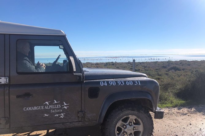 4x4 Camargue Safari 4h - Private Tour - Departure from Arles - Thirty minutes at Saintes Maries de la Mer