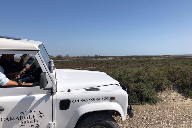 4x4 Camargue Safari 4h - Private Tour - Departure from Arles - A guide who turns a drive into a story