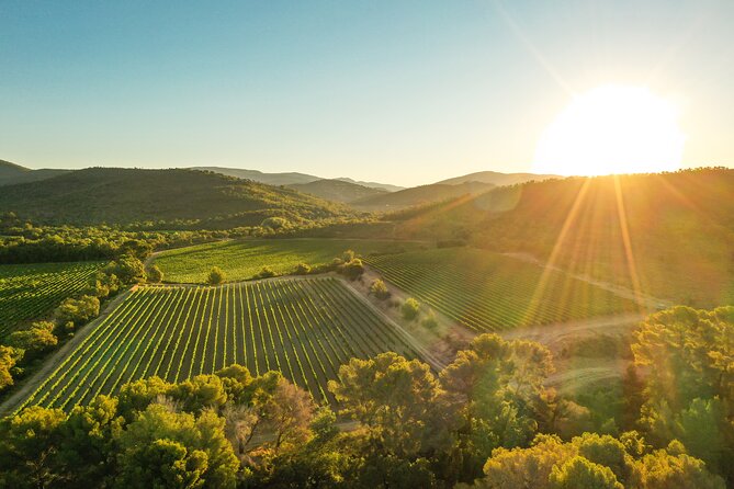 4x4 tour in a winery followed by a tasting - A vineyard tour with a little character
