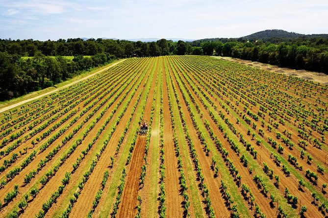 4x4 tour in a winery followed by a tasting - A tasting that covers the estate’s range
