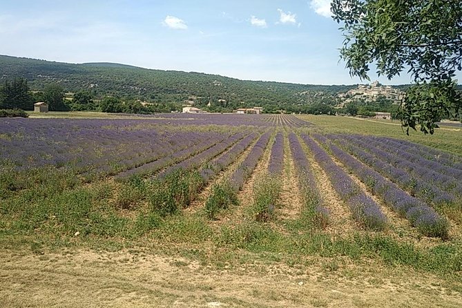 5-Hour Private Sightseeing Tour of the Provence from Marseille in Luxury Car - A private way to connect Marseille and Provence