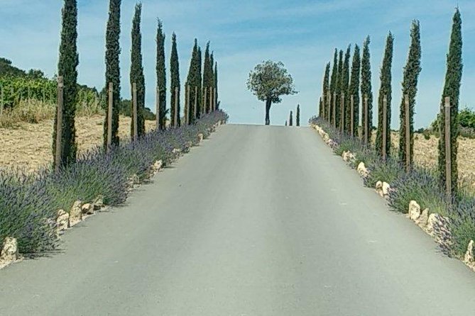 5-Hour Private Sightseeing Tour of the Provence from Marseille in Luxury Car - Aix-en-Provence for fountains, markets, and Cezanne