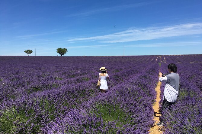 5-Hours Lavender Fields Tour in Valensole from Aix-en-Provence - Key points to know before you go
