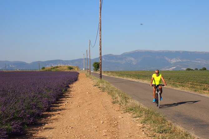 5-Hours Lavender Fields Tour in Valensole from Aix-en-Provence - The plateau: where the photographs happen