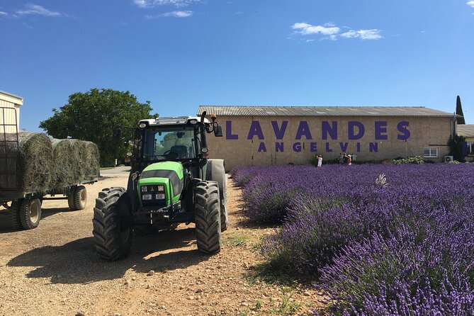 5-Hours Lavender Fields Tour in Valensole from Aix-en-Provence - Who should book this lavender tour?