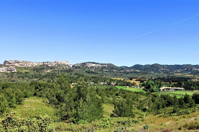 A Day in Provence Small Group Tour from Marseille - The guide can shape the whole experience