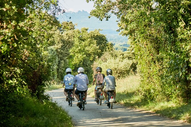 A Tour in Provence in a typical French motorized bike : the Solex - Is $65.35 a fair price?