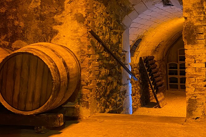 Afternoon Champagne visit & tasting class near Epernay - Timing, duration, and the practical tradeoffs