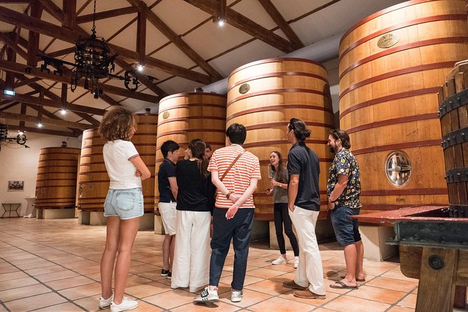 Afternoon Wine Tour to Chateauneuf du Pape from Avignon - Two wineries, two different tasting experiences