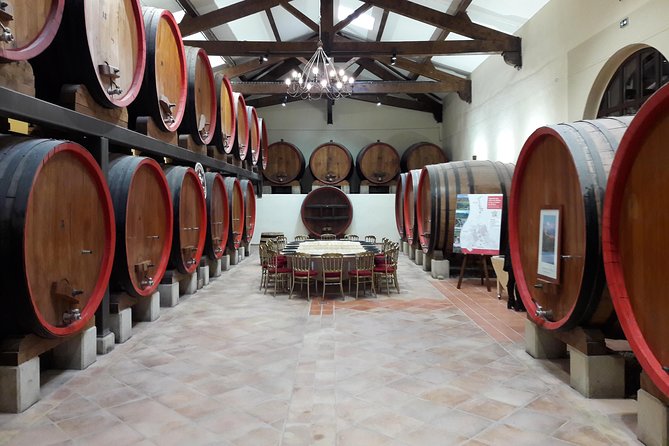 Afternoon Wine Tour to Chateauneuf du Pape from Avignon - What the wine tasting is really like