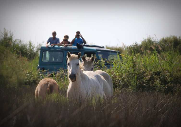 Aigues Mortes: Jeep Photo Safari in Camargue - Pink flamingos, birds, and quiet photo pauses