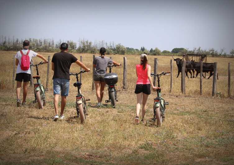 Aigues Mortes: safari en vélo - Ebike tour in Camargue - Key points to know before you book