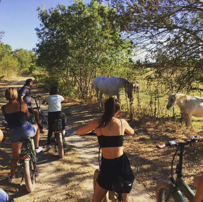Aigues Mortes: safari en vélo - Ebike tour in Camargue - Setting out from Aigues-Mortes into the Petite Camargue