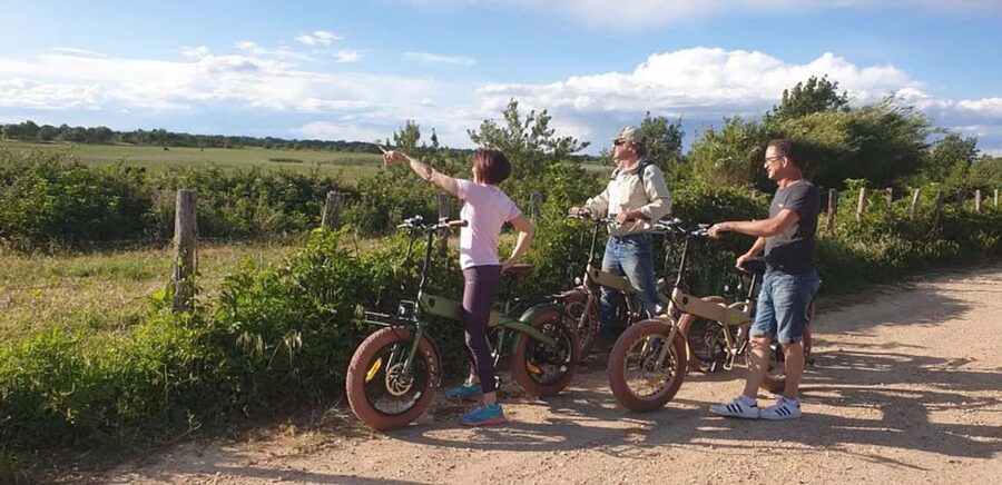 Aigues Mortes: safari en vélo - Ebike tour in Camargue - Is $64 a fair price?