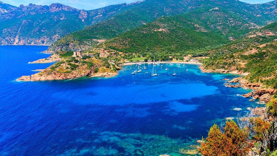 Ajaccio: Guided Scandola Nature Reserve Boat Tour - The last stop at Anse de Cala di Pala