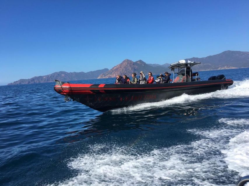 Ajaccio/Porticcio: Scandola & Piana Semi-Rigid Boat Day Trip - Two unhurried hours in Girolata