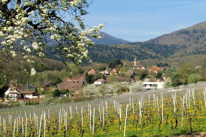 Alsace 4 Wonders Small-Group Day Trip from Colmar - The Wine Route connects the villages