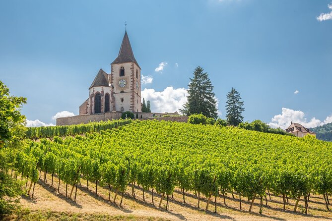 Alsace Full Day Wine Tour from Colmar - The first stretch: Colmar to the wine villages