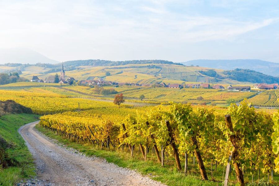 Alsace: Full-Day Wine Tour & Tastings from Strasbourg - Lunch and free time in an Alsatian village