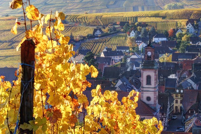 Alsace: Half-Day Wine Tour from Colmar - Why this half-day tour works well from Colmar
