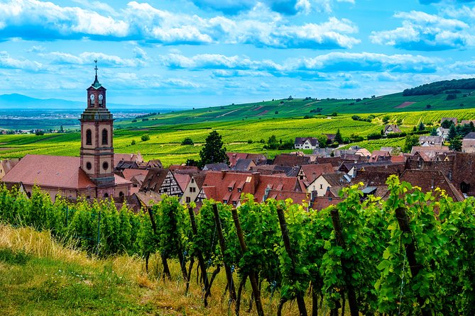 Alsace: Half-Day Wine Tour from Colmar - Riquewihr, the Perle of the Vineyard