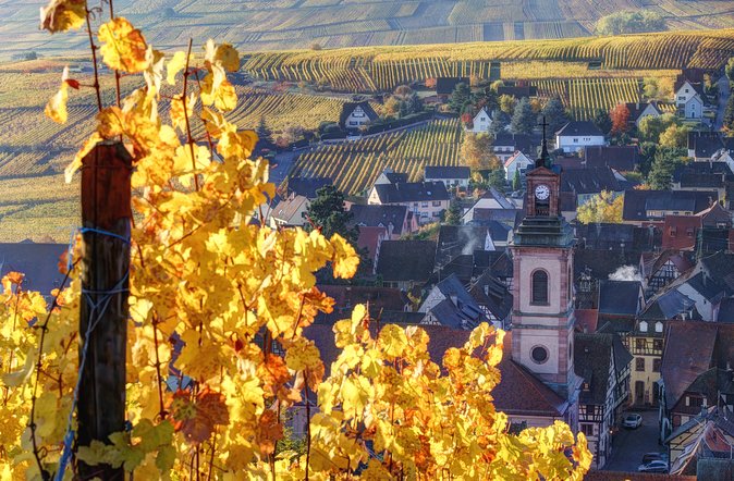 Alsace's Gems Small Group Day Tour from Colmar - Riquewihr gives you more time to wander