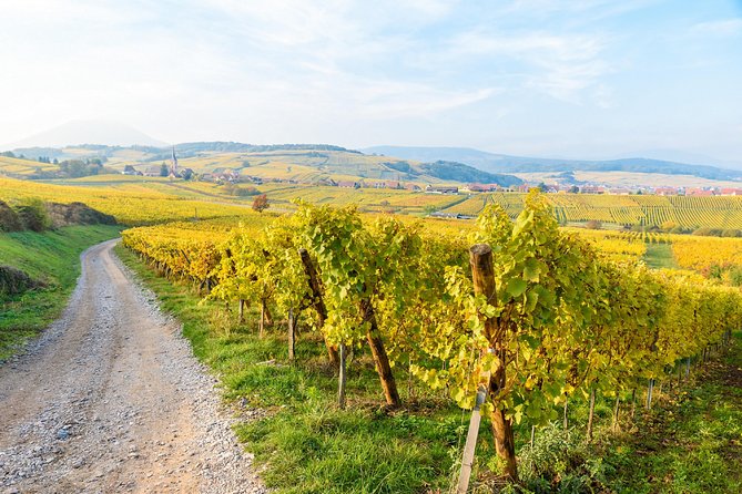 Alsace villages half day tour from Colmar - Is four hours enough?