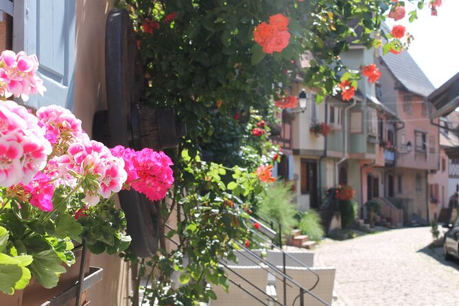 Alsace Wine Route Small Group Half-Day Tour with Tasting from Strasbourg - Leaving Strasbourg for the Alsace Wine Route