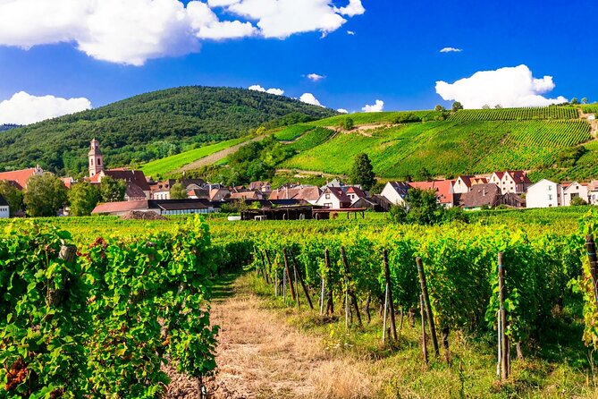 Alsace Wine Route Small Group Half-Day Tour with Tasting from Strasbourg - Scenery between the tastings