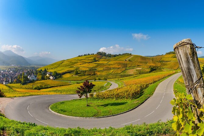 Alsace Wine Route Small Group Half-Day Tour with Tasting from Strasbourg - What the $157.28 price gets you