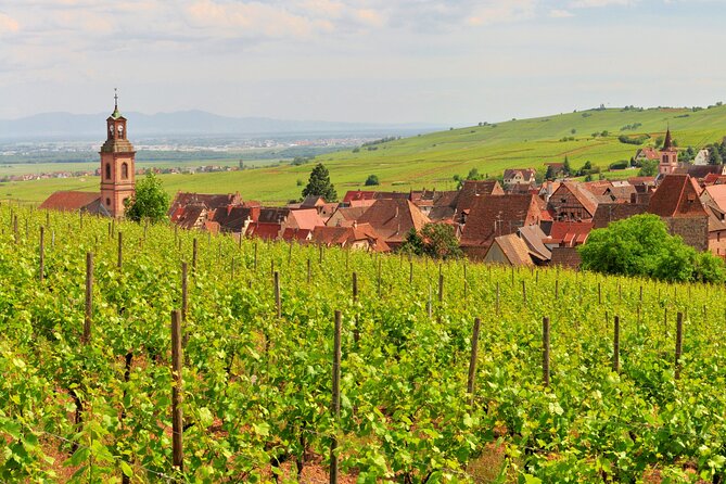 Alsace Wine Route Small Group Half-Day Tour with Tasting from Strasbourg - Eat first and plan your timing