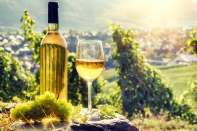Alsace Wine Route Wineries & Tasting Small Group Guided Tour from Strasbourg