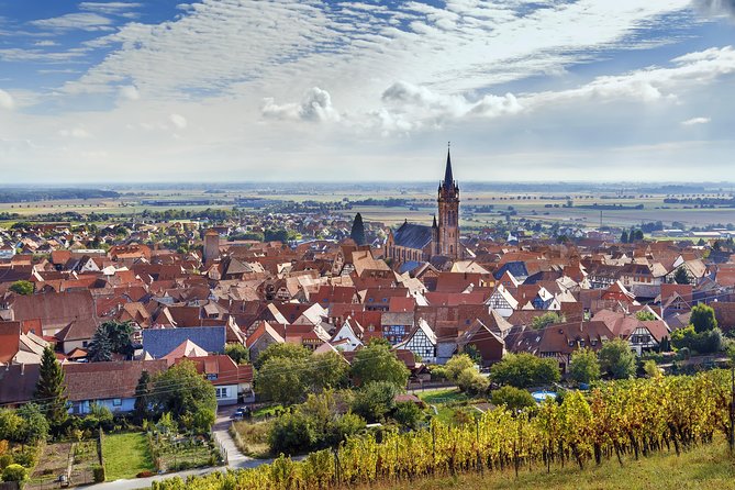 Alsace Wine Route Wineries & Tasting Small Group Guided Tour from Strasbourg - Ribeauvillé and Riquewihr after lunch