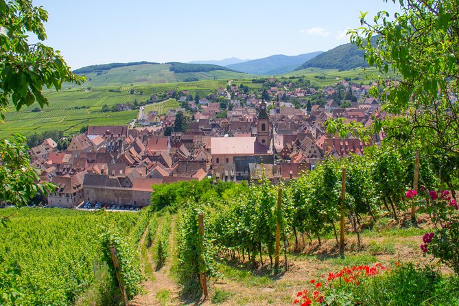 Alsace Wine Route Wineries & Tasting Small Group Guided Tour from Strasbourg - What $260.12 really buys you