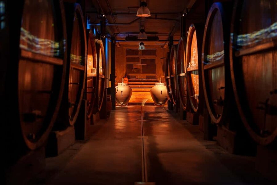 Alsatian Guided Wine Tasting and Immersive wine cellar tour - Should you book the Gertwiller wine tour?