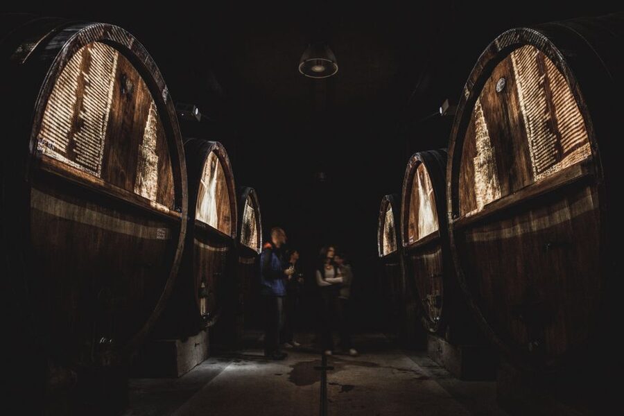 Alsatian Guided Wine Tasting and Immersive wine cellar tour - Why the old barrels change the tasting