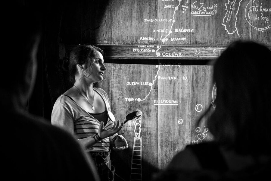 Alsatian Guided Wine Tasting and Immersive wine cellar tour - Is $22 a fair price?