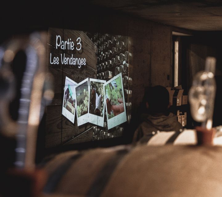 Alsatian Guided Wine Tasting and Immersive wine cellar tour - Who will enjoy this winery visit?