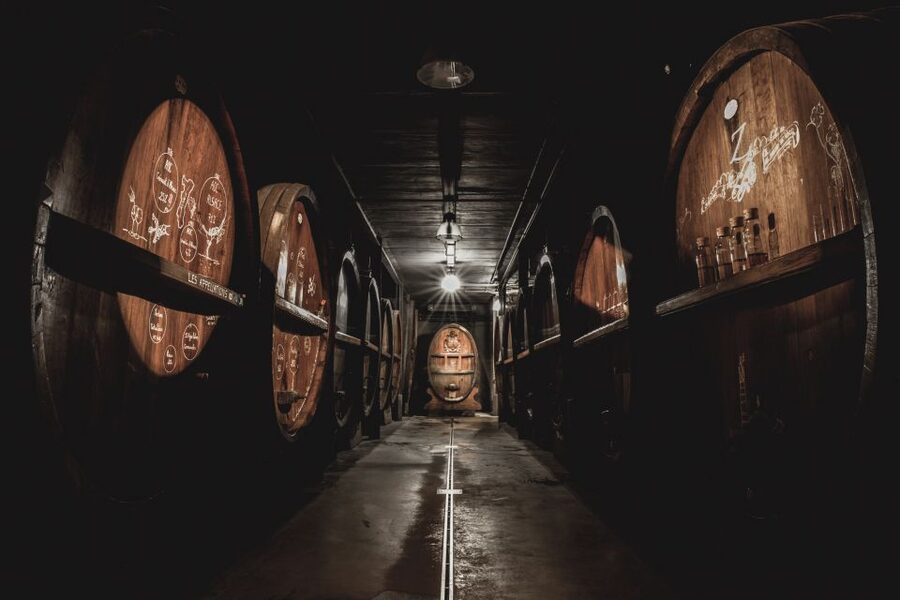Alsatian Guided Wine Tasting and Immersive wine cellar tour - Practical details that affect your choice