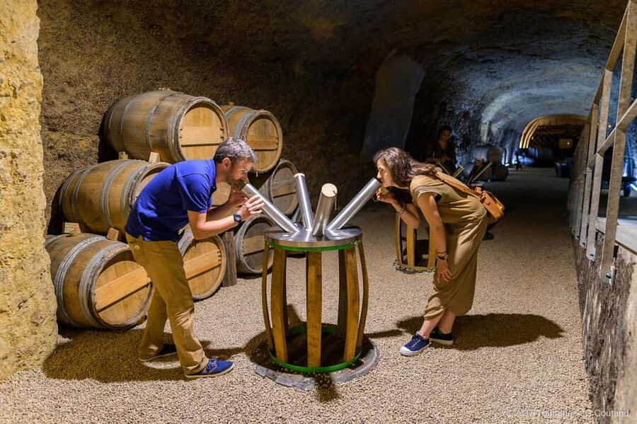 Amboise: Caves Ambacia Visit and Wine Tasting - Buying bottles and shipping wine home