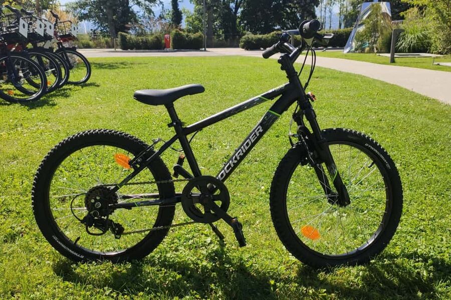 Annecy-le-Vieux, France: Electric and Classic Bike Rentals - Choosing between an electric bike and a muscle bike
