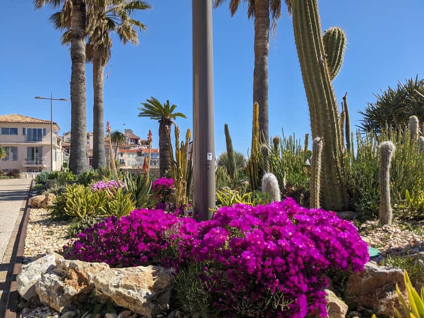 Antibes: 2 hour walking tour in the old town - The Provençal market’s colors and scents
