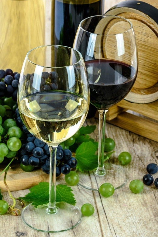 Aperitive guided cruise « Wine and Canelé » - Rooftop views and the indoor room