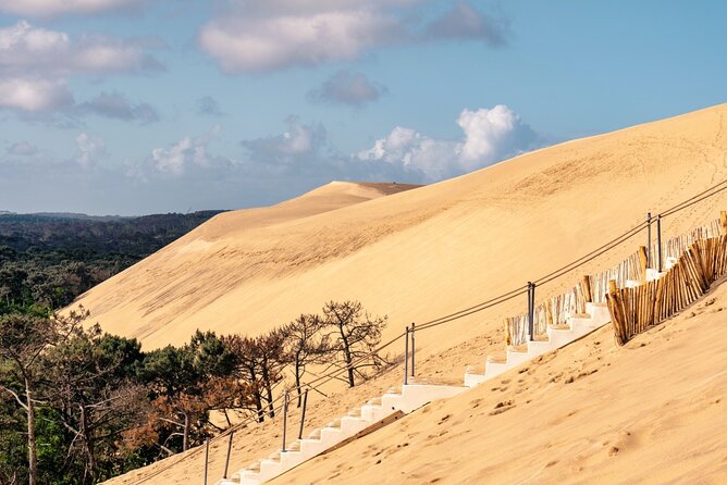 Arcachon Bay Full Day Trip from Bordeaux with lunch and Pyla Dune - What the $192.29 price really covers