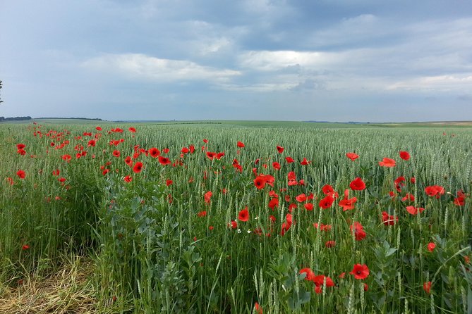 Australian private Somme tour including Sir John Monash Centre - The Windmill Memorial and the first tanks